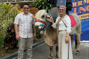Dari-Kandang-ke-Kampus-Kisah-Inspiratif-Wisudawan-UNMER-yang-Bawa-Sapi-Saat-Wisuda